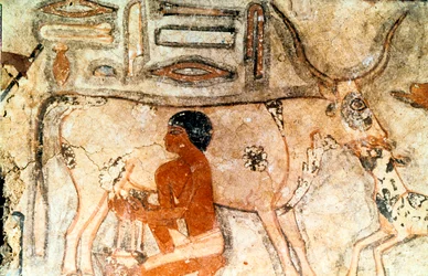 Pittura murale dalla tomba di Methethi, Saqqara, Antico Egitto, Antico Regno