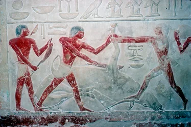 Affresco di 3 macellai che tagliano una carcassa, Tomba di Idut, V dinastia, c2350 a.C.