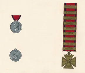 Medaglia di Servizio Generale Militare di Waterloo 1793-1814, XIX secolo