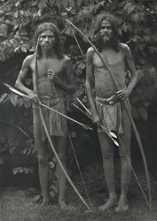 Wedda con arco e frecce, 1926