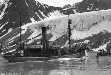Caccia alla balena, Baia di Magdalena, Spitzbergen, Norvegia