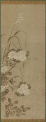 Crisantemi bianchi e erbe, periodo Edo, 1615-1868
