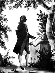 William Pitt il Giovane, statista inglese