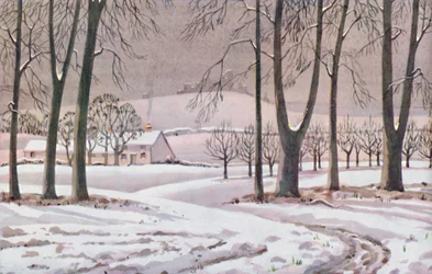 Inverno - I cambiamenti fisici, chimici e biologici causati dal sole durante l