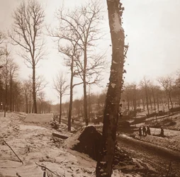 Inverno, Genicourt, Francia settentrionale, c1914-c1918