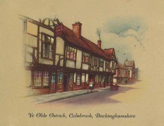Il vecchio struzzo di Colnbrook, Buckinghamshire, 1939