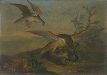 Lotta di uccelli