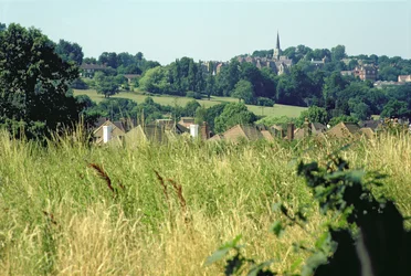 Vista generale della collina