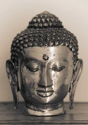 Testa di Buddha