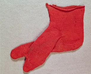 Calza, una di un paio dall