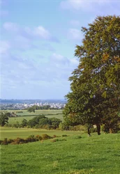 Vista di Oxford da Boars Hill