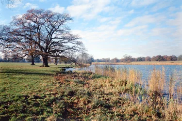 Vista del lago, Corsham Court, Wiltshire
