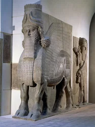 Toro alato dalla facciata del Palazzo del re Sargon II, Khorsabad, Periodo tardo assiro, c.725 a.C.