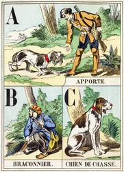 A B C: Porta, Bracconiere, Cane da caccia - L