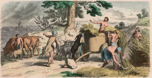 Antica Grecia: Vita in campagna