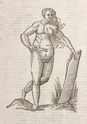 Androgino