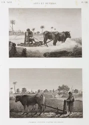 Agricoltura arabile, aratura, trebbiatrice e aratro, Egitto, c 1798