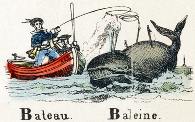 B - Barca Balena - Alfabeto - intrattenimento per bambini - Immagine epinal, serie popolare c.1890 (illustrazione)