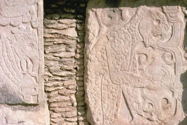 Bassorilievo che raffigura giaguari che estraggono cuori umani da vittime sacrificali (pietra)