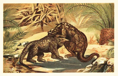 Battaglia tra un Megalosaurus bucklandii e un Iguanodon bernissartensis. 1908 (litografia)
