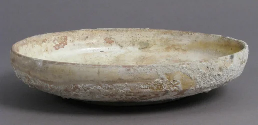 Ciotola con uccello rapace