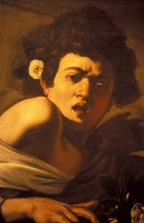Ragazzo morso da una lucertola (dettaglio)