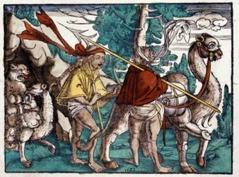 Carovana in Africa