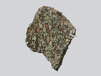 Condrite carbonacea (CBA). Caduta a Gujba (Nigeria) nel 1984. Museo Nazionale di Storia Naturale, Parigi.