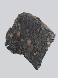 Condrite carbonacea (CBA). Caduta a Gujba (Nigeria) nel 1984. Museo Nazionale di Storia Naturale, Parigi.