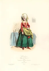 Cameriera, regno di Carlo VII