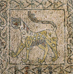 Chiesa di San Giovanni Evangelista, Quarta Crociata, Frammenti di pavimenti a mosaico rappresentanti una pantera maculata, Ravenna, Emilia-Romagna, Italia