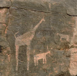 Primo piano di pitture preistoriche, Deserto del Teneré, Niger