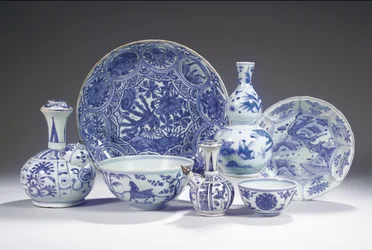 Collezione di porcellana blu e bianca