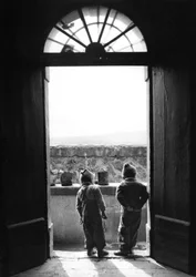 Curiosità