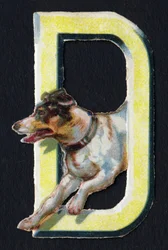 D come Cane. Decoupis di coleotteri sul tema degli animali. Incisione. Serie di 26 cromolitografie waffle di origine inglese. Editore e illustratore sconosciuti. Fine XIX secolo.