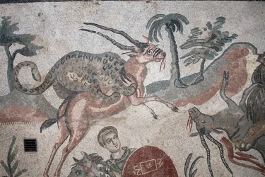 Dettaglio del mosaico della grande caccia. Un leopardo attacca una gazzella. III - IV secolo. Villa Romana del Casale, Sicilia. Sito UNESCO.