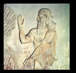 Dignitario, rilievo, assiro (marmo)