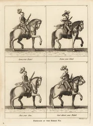 Esercizio del cavallo
