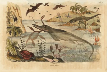 Dinosauri estinti, ittiosauro, plesiosauro, animali marini, pterodattili, lucertole, tartarughe, insetti, pesci, calamari, molluschi, ecc.