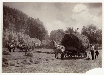 Scene di agricoltura, Raccolta e Conservazione, Fienagione, c 1890