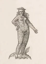 Foemina Cinnaminiae gentis