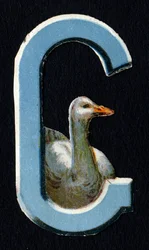 G come Oca. Decoupis di coleotteri sul tema degli animali. Incisione. Serie di 26 cromolitografie waffle di origine inglese. Editore e illustratore sconosciuti. Fine XIX secolo.