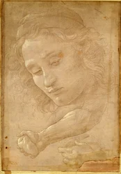 Testa di un giovane, disegno da una pagina di "Libro dei Desegni" di Giorgio Vasari