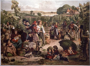 Raccolta del luppolo in Inghilterra, fine XIX secolo (illustrazione)