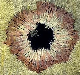 Illustrazione di una macchia solare