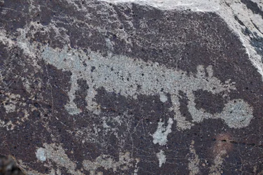 Petroglifi indiani raffiguranti animali - Petroglyph National Monument - Albuquerque, Nuovo Messico, USA (USA)