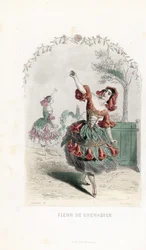 La fata del fiore di melograno danza - Acquaforte di Charles Geoffroy (1819-1882), basata su un