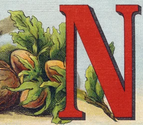 Lettera N: nocciole. Incisione in "Alphabet de ma petite fille". Bernardin-Bechet e Fils, librai-editori, Parigi, circa 1895. Album infrangibile su tela. Bibliothèque des Bebes.