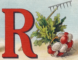 Lettera R: Rastrello, ravanello. Incisione in "Alphabet de ma petite fille". Bernardin-Bechet e Fils, librai-editori, Parigi, circa 1895