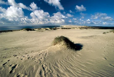 Lituania, Klaipeda, Penisola di Curlandia, Nida, dune di sabbia mobili chiamate Sahara Prussiano